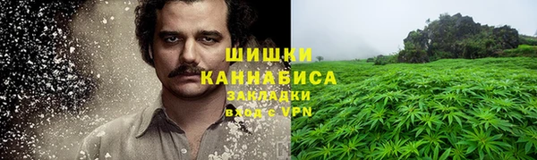 крисы Абаза